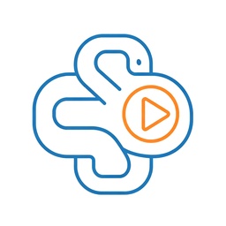 Python代码执行指南